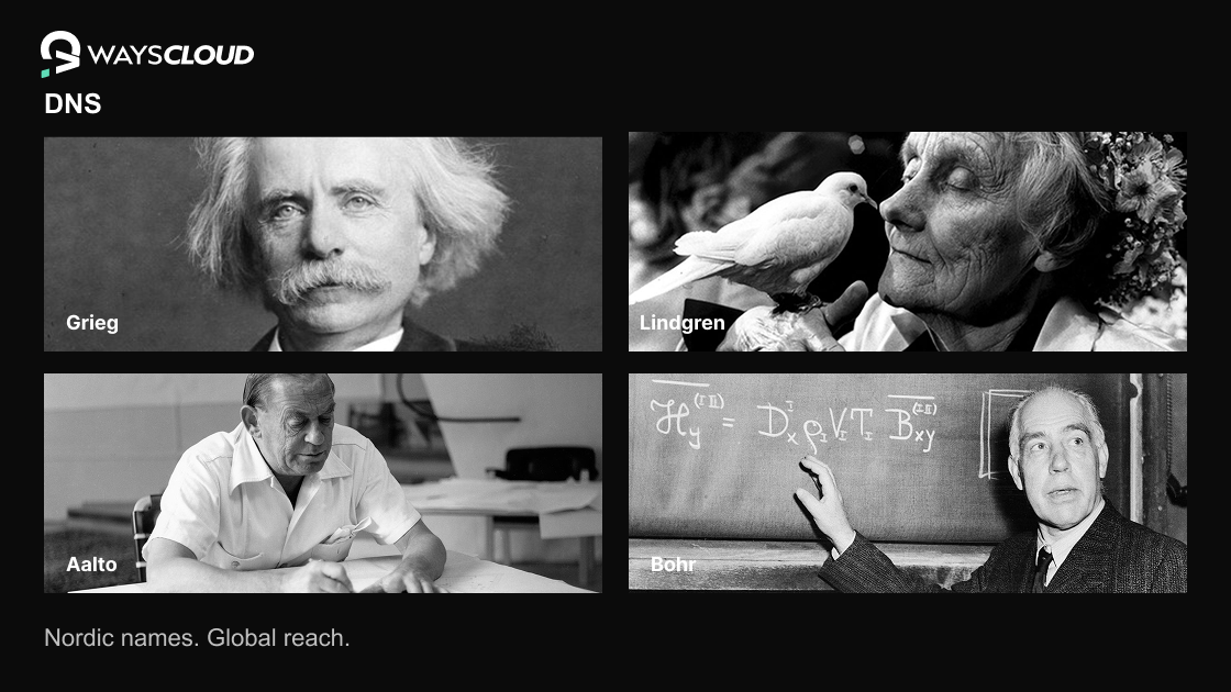 WAYSCloud DNS — Nordic names, global reach